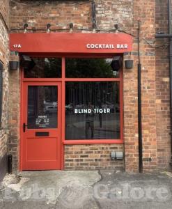 Picture of Blind Tiger