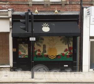 Picture of The Golden Pineapple