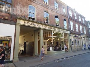 Picture of House of the Trembling Madness