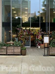 Picture of The Anthologist