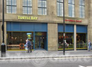 Picture of Turtle Bay