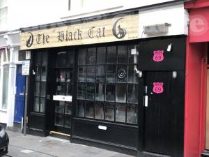 Picture of The Black Cat