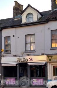 Picture of Fluke