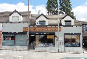 Picture of The Hungry Bear