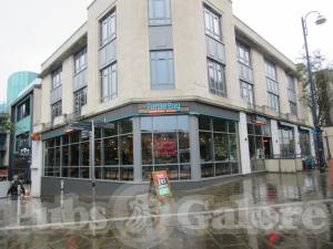 Picture of Turtle Bay