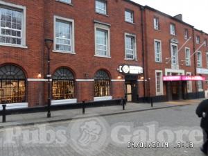 Picture of Northern Monkey