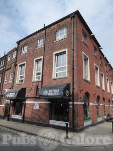 Picture of Northern Monkey