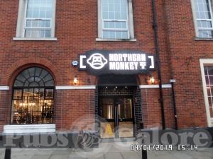 Picture of Northern Monkey