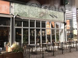 Picture of The Botanist