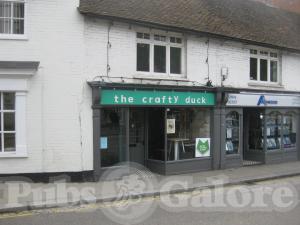 Picture of The Crafty Duck