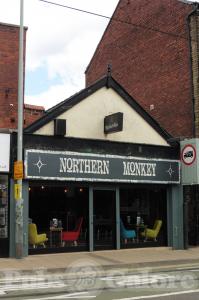 Picture of Northern Monkey