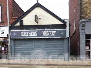 Picture of Northern Monkey