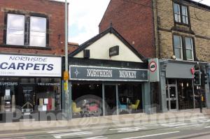Picture of Northern Monkey
