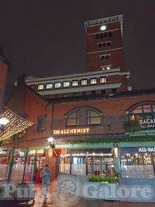 Picture of The Alchemist