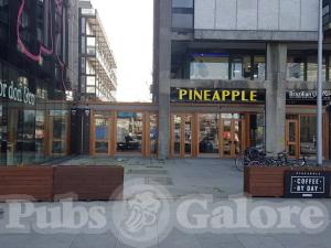 Picture of Pineapple