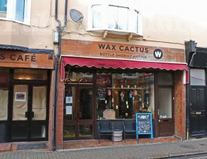 Picture of Wax Cactus