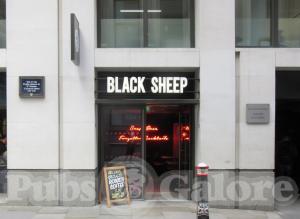 Picture of Black Sheep