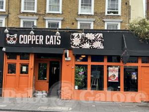 Picture of Copper Cats