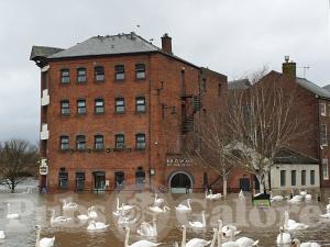 Picture of Browns at the Quay