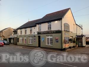 Picture of Brown Trout