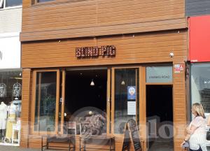 Picture of Blind Pig