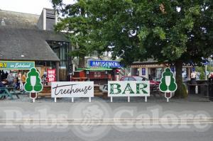 Picture of Treehouse Bar
