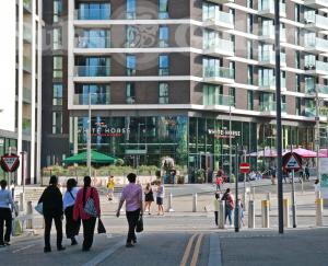 Picture of The White Horse