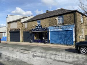 Picture of The Crafty Fox