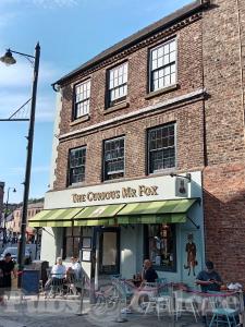 Picture of The Curious Mr Fox