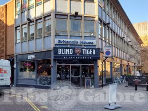 Picture of Blind Tiger