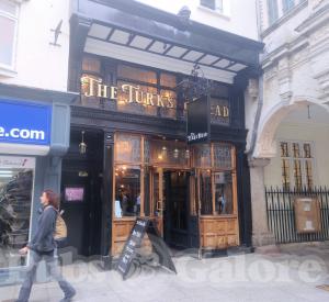 Picture of Turks Head