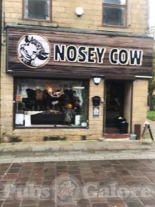 Picture of Nosey Cow