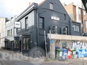 Picture of The Oculist