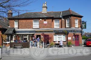 Picture of The Cricketers