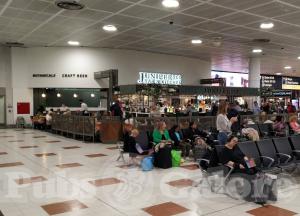 Picture of Juniper & Co