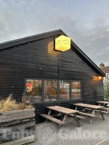 Picture of Filly Brook