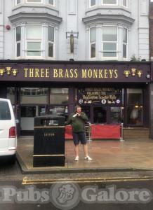 Picture of Three Brass Monkeys