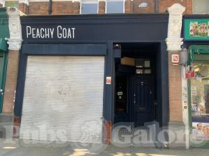 Picture of Peachy Goat