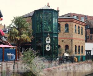 Picture of Incognito