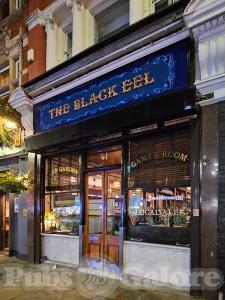 Picture of The Black Eel