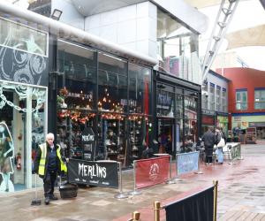 Picture of Merlin's