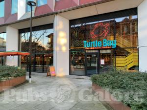 Picture of Turtle Bay