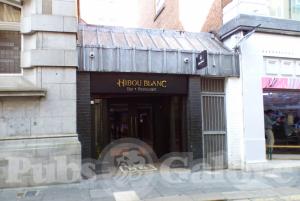 Picture of Hibou Blanc