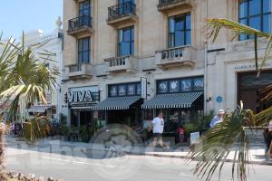 Picture of Viva