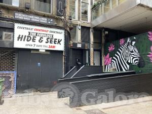 Picture of Hide & Seek