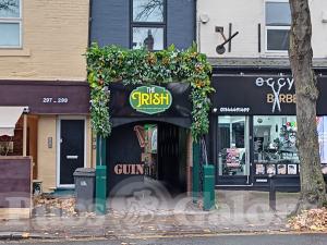 Picture of The Irish