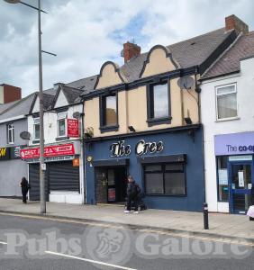 Picture of The Cree