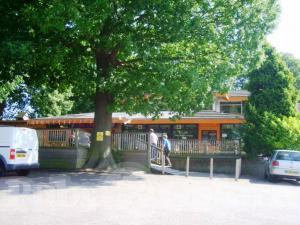 Picture of The Cherry Orchard