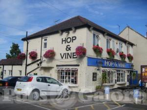Picture of Hop and Vine