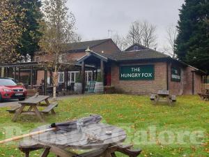 Picture of The Hungry Fox